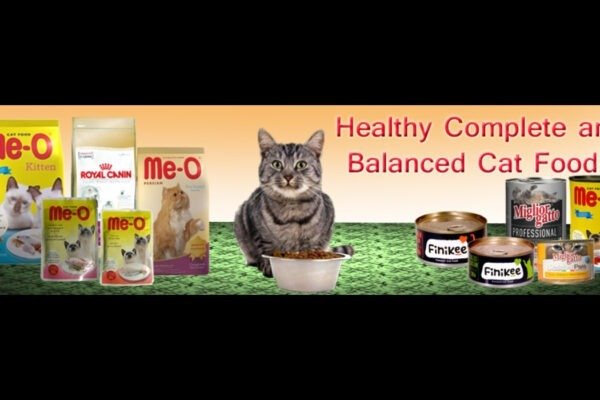 How To Choose Right Cat Food-Ultimate Guide to Cat Food